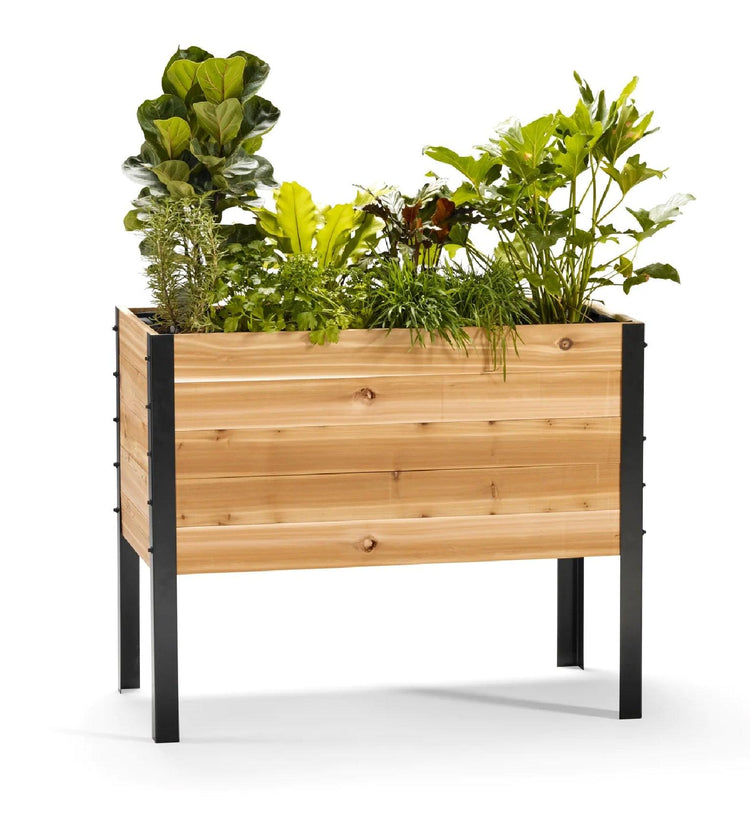 Elevated wooden garden planter with leafy plants