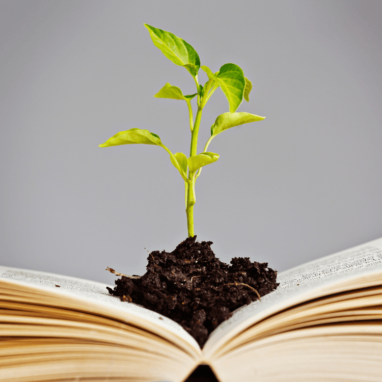 Seedling growing from an open book