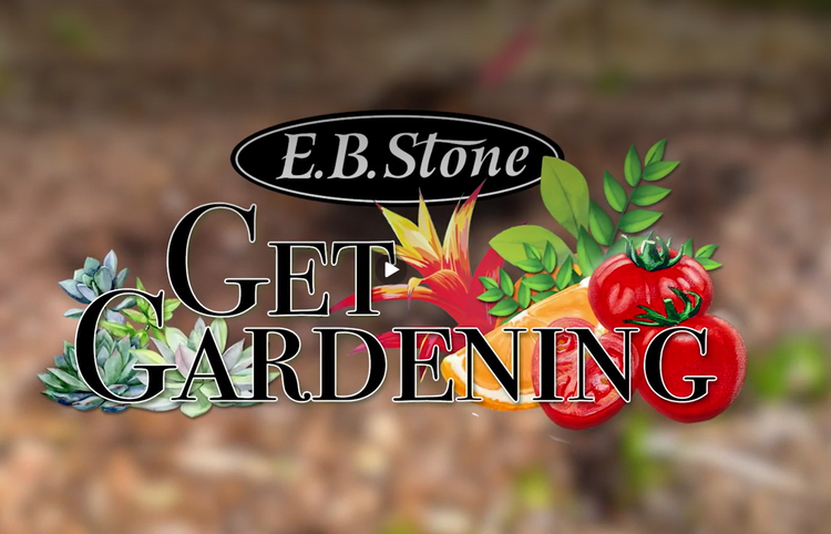 E.B Stone - Get Gardening