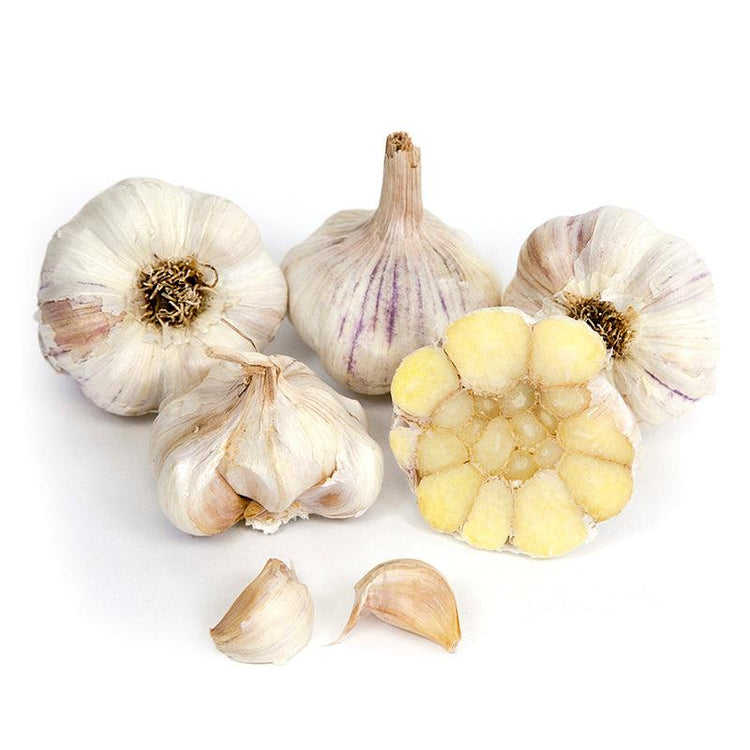 Whole and cut garlic bulbs with cloves