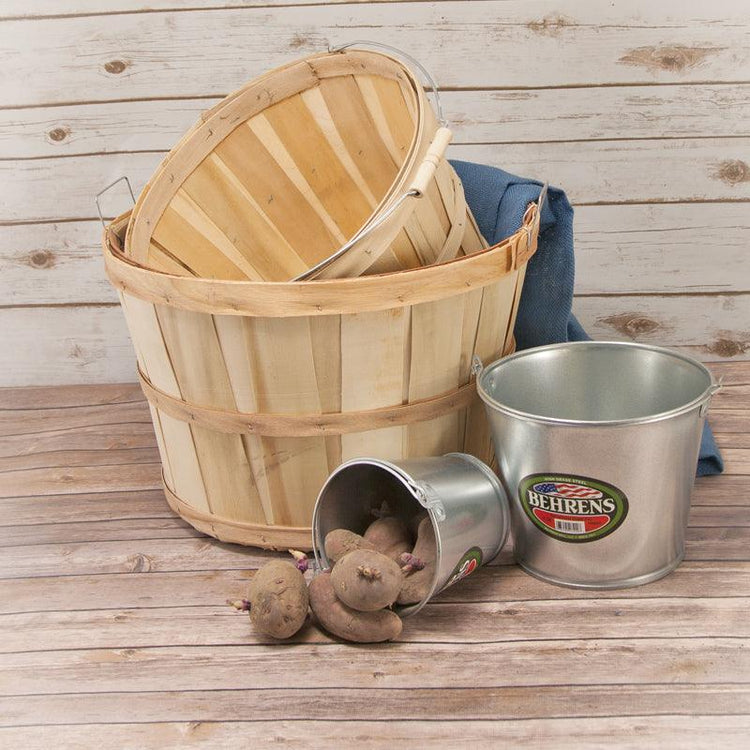 Wooden harvest basket with metal fruit-picking tools