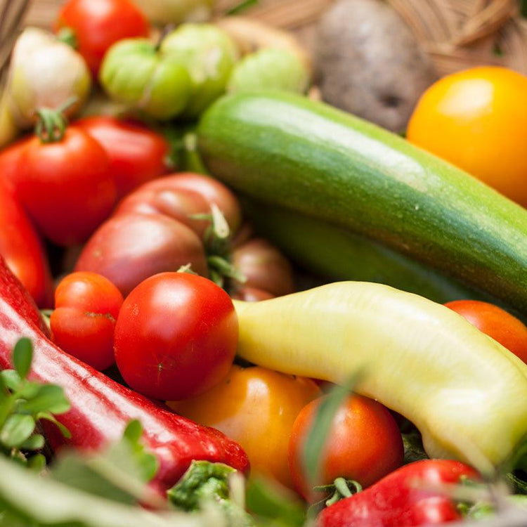 Basket of freshly harvested tomatoes and squash