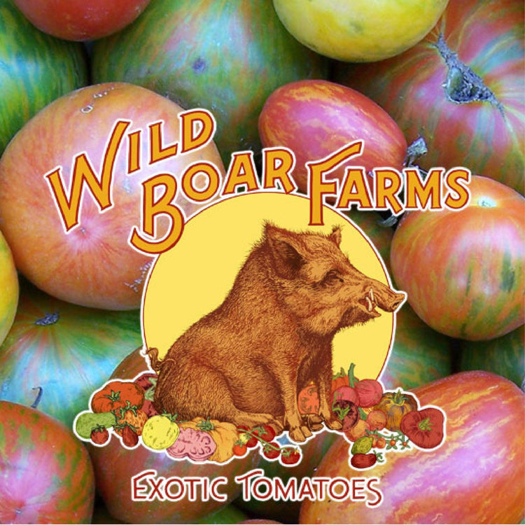 Wild Boar Farms tomato label over assorted tomatoes