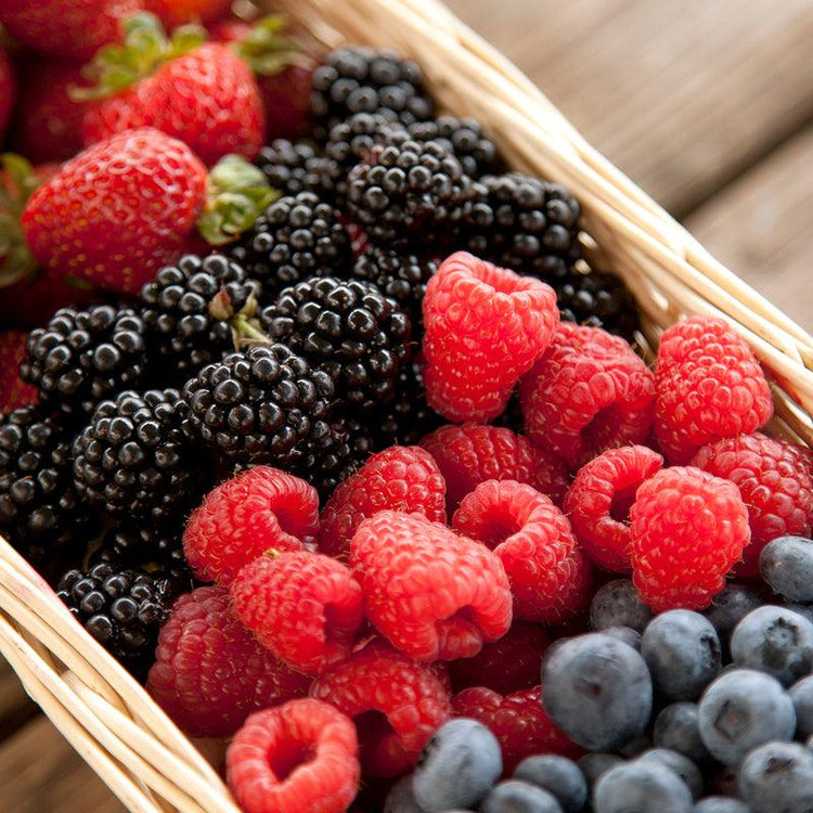 Basket of raspberries, blackberries, and blueberries