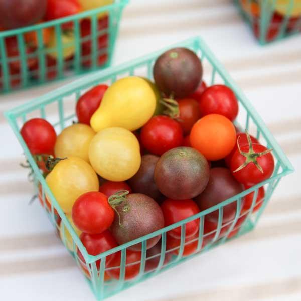 Basket of assorted red, yellow, and purple cherry tomatoes