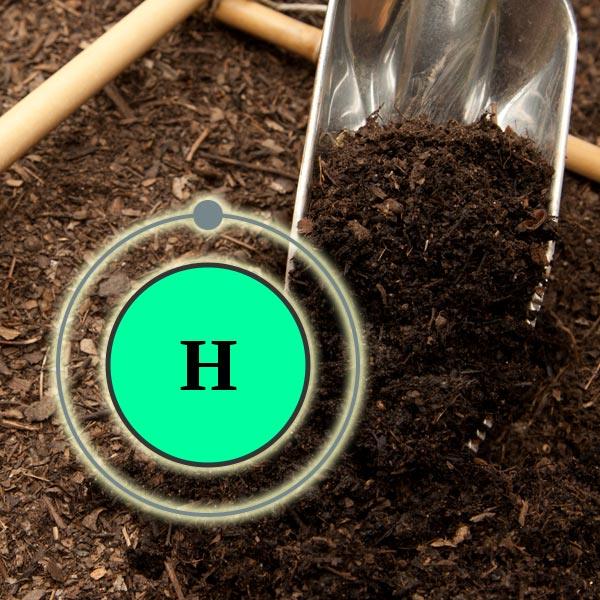 Green hydrogen symbol shown in garden soil