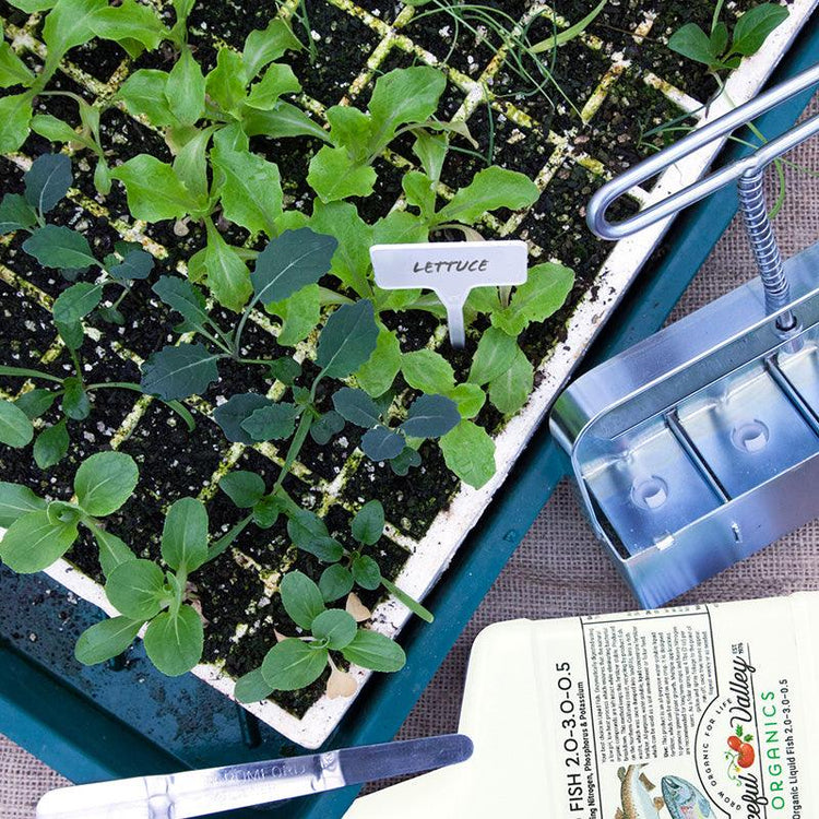 Fertilizer package beside a tray of leafy plants