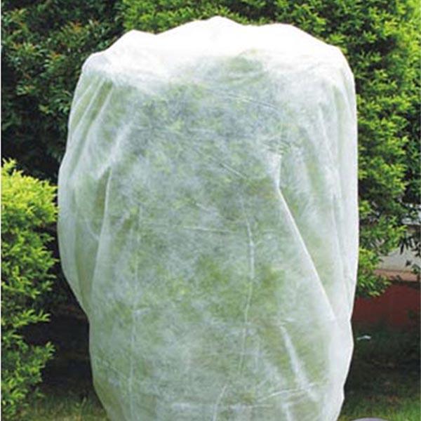 Large garden plant wrapped in white frost blanket