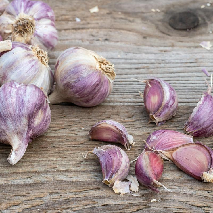 Purple garlic bulbs and separated cloves on wood