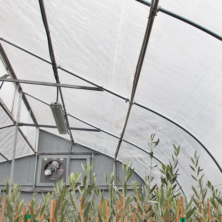 Interior view of a greenhouse roof and vent