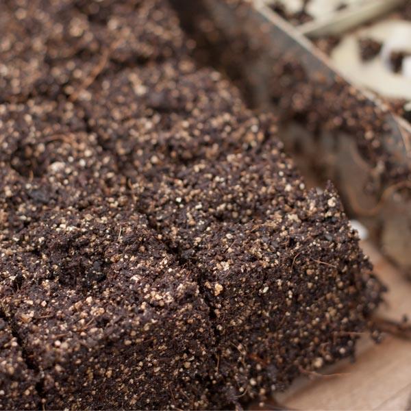 Fine dark seed-starting soil