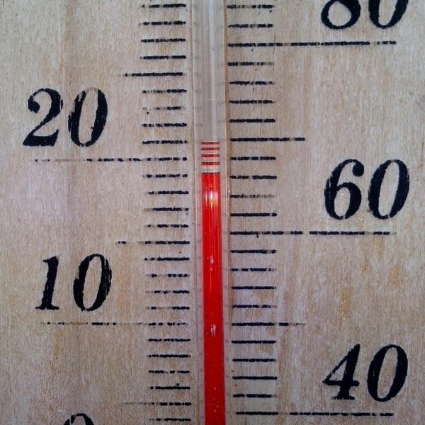 Close-up of a red liquid garden thermometer