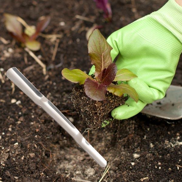 Gloved hand using a narrow transplanting tool