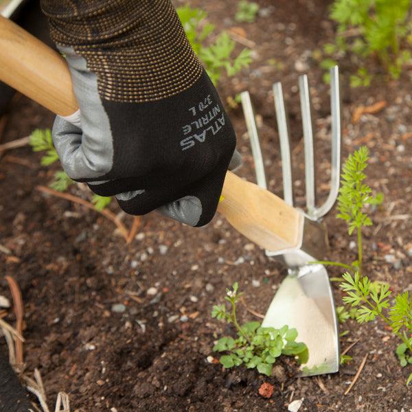 Gloved hand using a trowel beside a seedling
