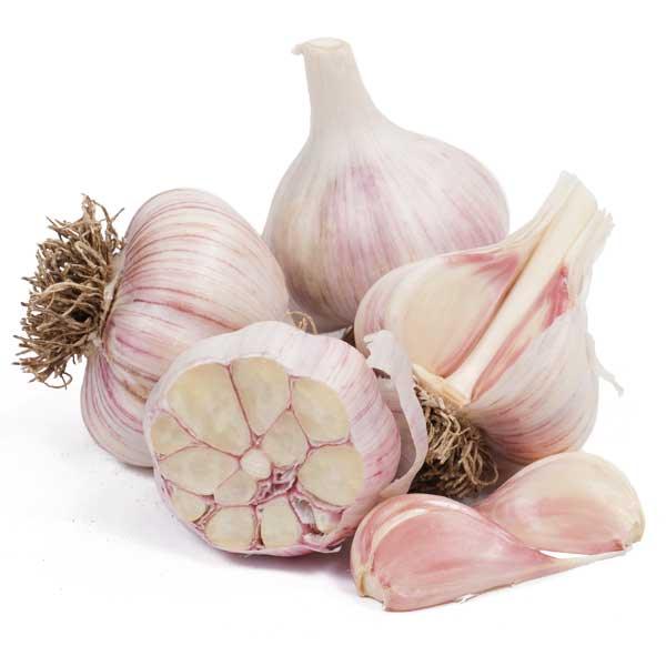 Whole and cut hardneck garlic bulbs with cloves