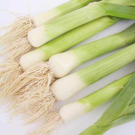 Fresh leeks with roots attached
