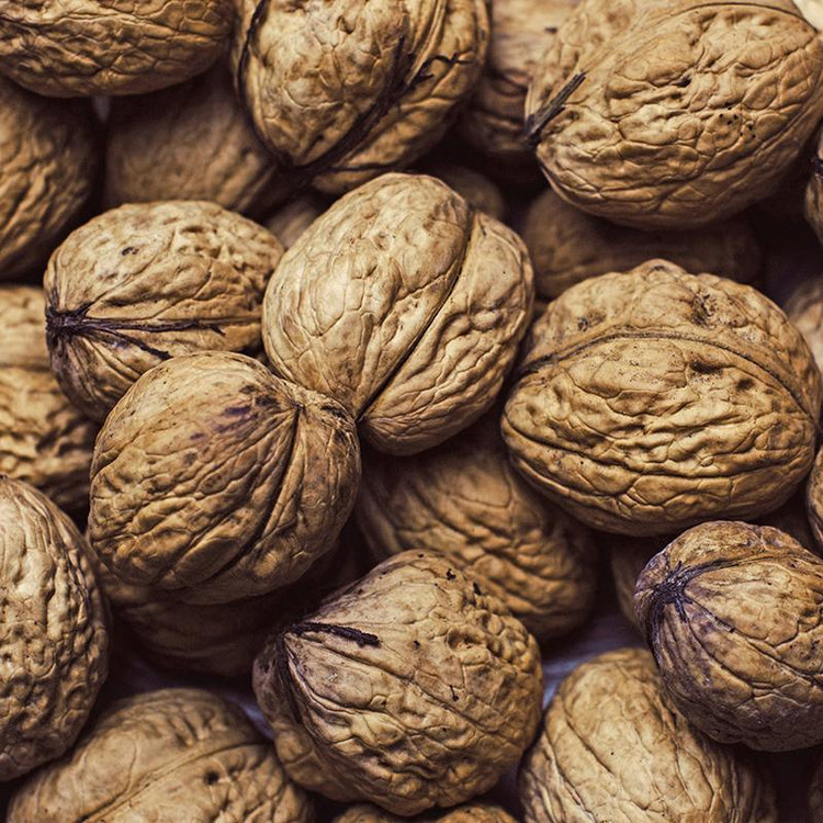 Pile of walnuts in their shells
