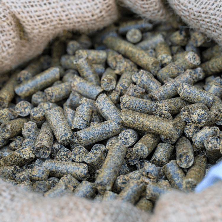 Pile of gray bone-meal fertilizer pellets
