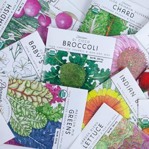 Assorted vegetable seed packets