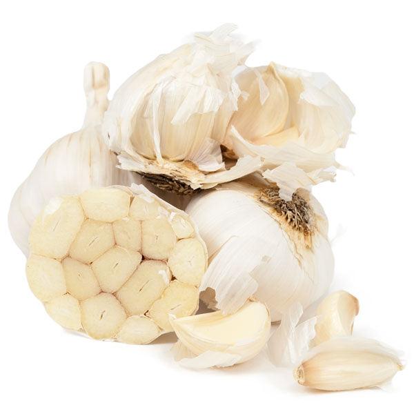 Softneck garlic bulb with exposed cloves