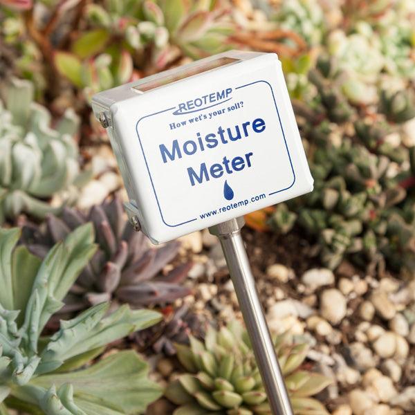 Moisture meter inserted in garden soil