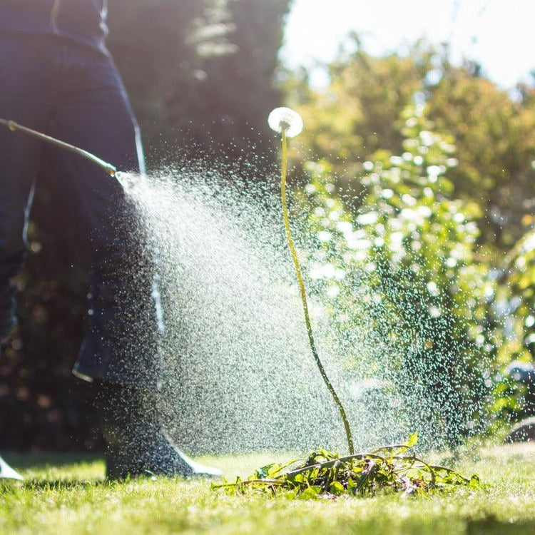 Garden sprayer releasing a broad mist outdoors