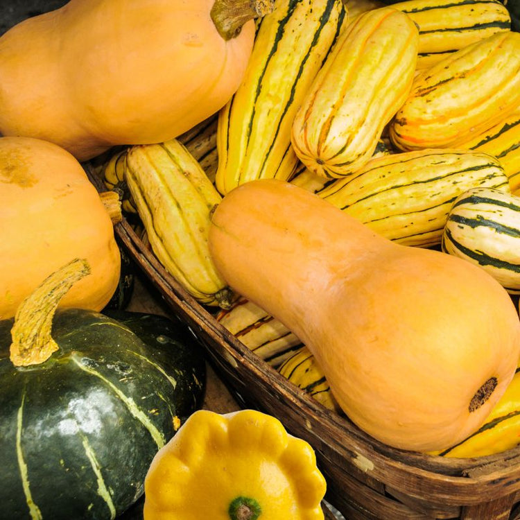 Assorted yellow, orange, and green winter squash