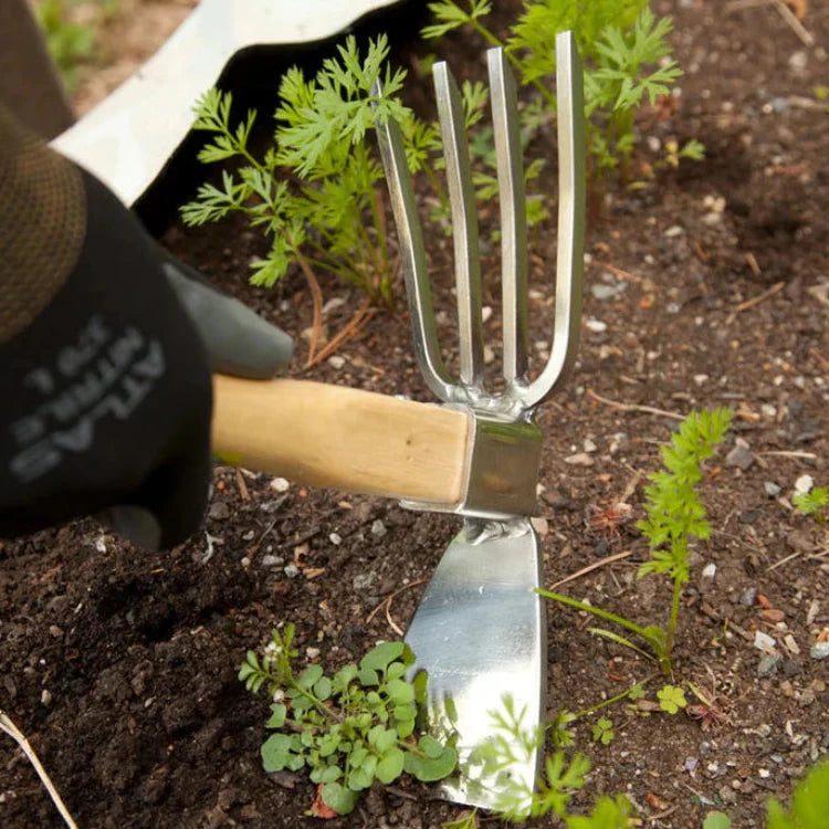 Garden fork and trowel working soil around seedlings