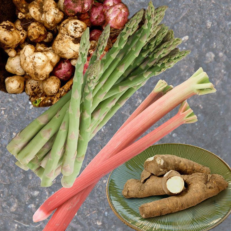 Asparagus, rhubarb, horseradish, and Jerusalem artichoke crowns