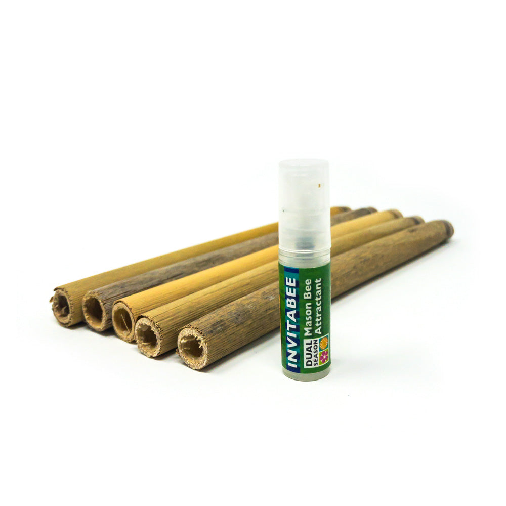 InvitaBee Mason Bee Attractant CrownBees