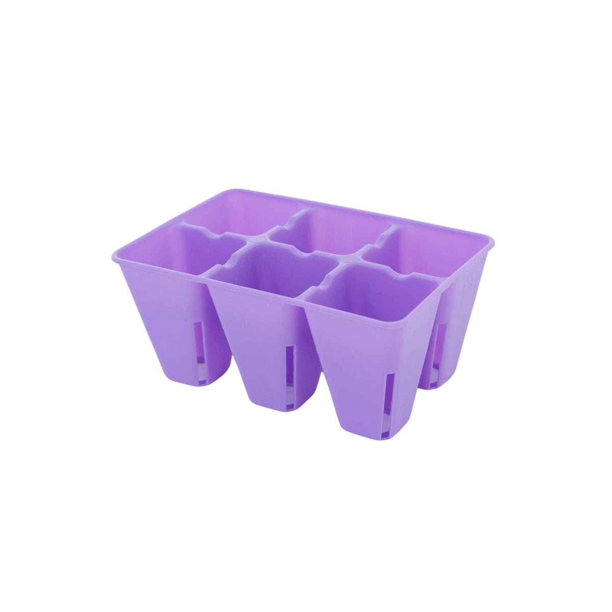 6 Cell Plug Tray Inserts 12 Pack / Purple Bootstrap Farmer