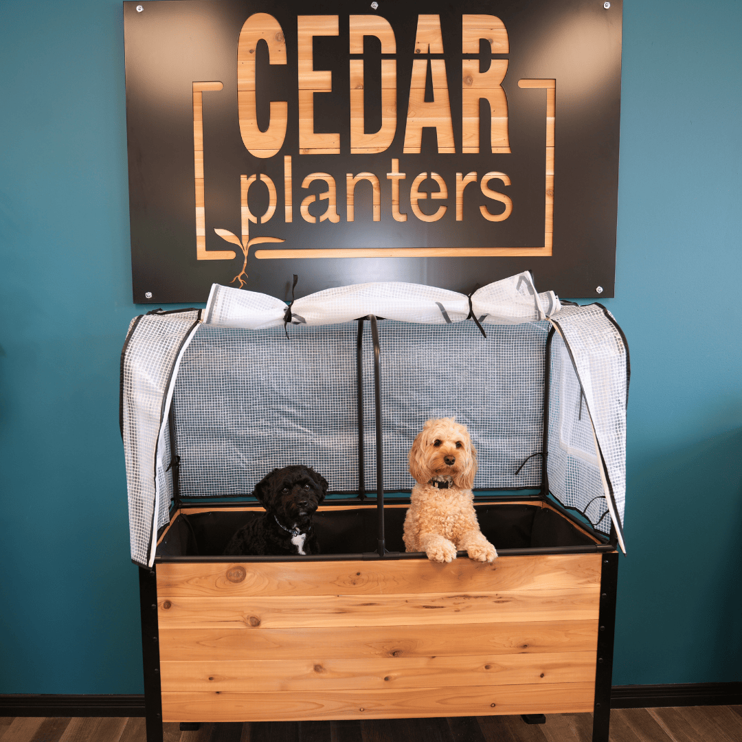 Greenhouse Cover Cedar Planters