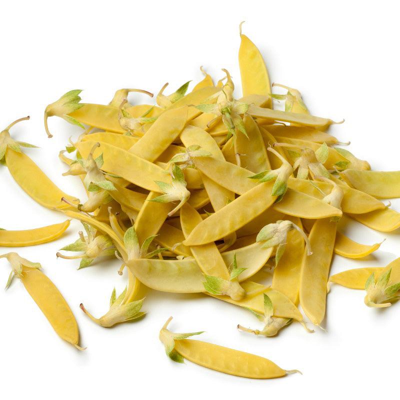 Yellow Sugar Pod Pea Seeds (Organic) San Diego Seed Company