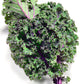 Organic Red Russian Kale Grow Organic