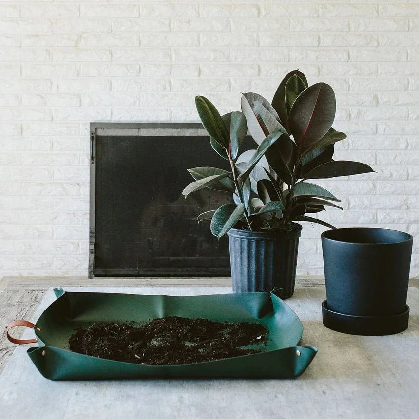 Arber Repotting Mat Grow Organic