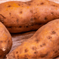 Beauregard Sweet Potato Slips PV Drop Ship