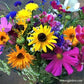 Beekeeper's Early Blooming Mix Renee's Garden