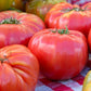 Brandywine Tomato (Organic) High Mowing Seeds