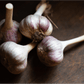 Organic Red Chesnok Garlic (lb) Grow Organic