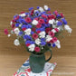 4th of July Cornflower Mix Renee's Garden