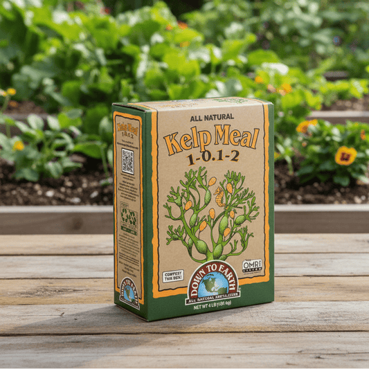 Kelp Meal 1-0.1-2 (4 lb Box) Down to Earth