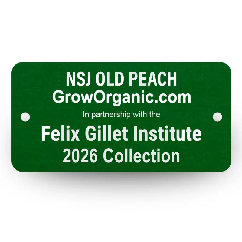 NSJ Old Peach Tree Felix Gillet Institute
