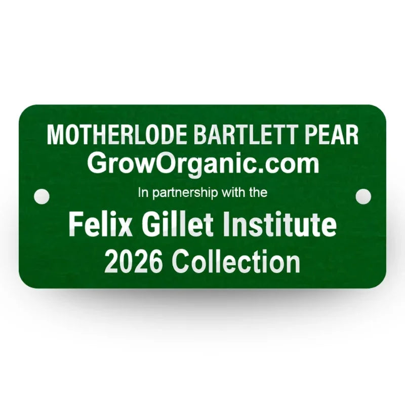 Motherlode Bartlett Pear Felix Gillet Institute