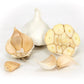 Organic Early Purple Italian Garlic (lb) Grow Organic