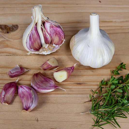 German Red Garlic (lb) Grow Organic