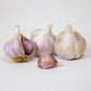 Organic German Xtra Hardy Garlic (Lb) Grow Organic