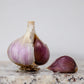 Organic German Xtra Hardy Garlic (Lb) Grow Organic