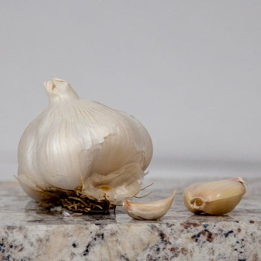 California Late White Garlic (lb) Grow Organic