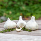 Organic Inchelium Red Garlic (lb) Grow Organic