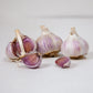 Organic Romanian Red Garlic (lb) Grow Organic